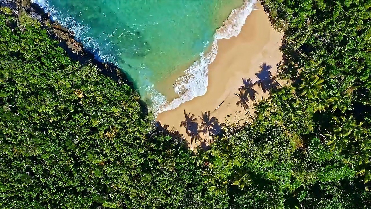 The Samaná coast from the air