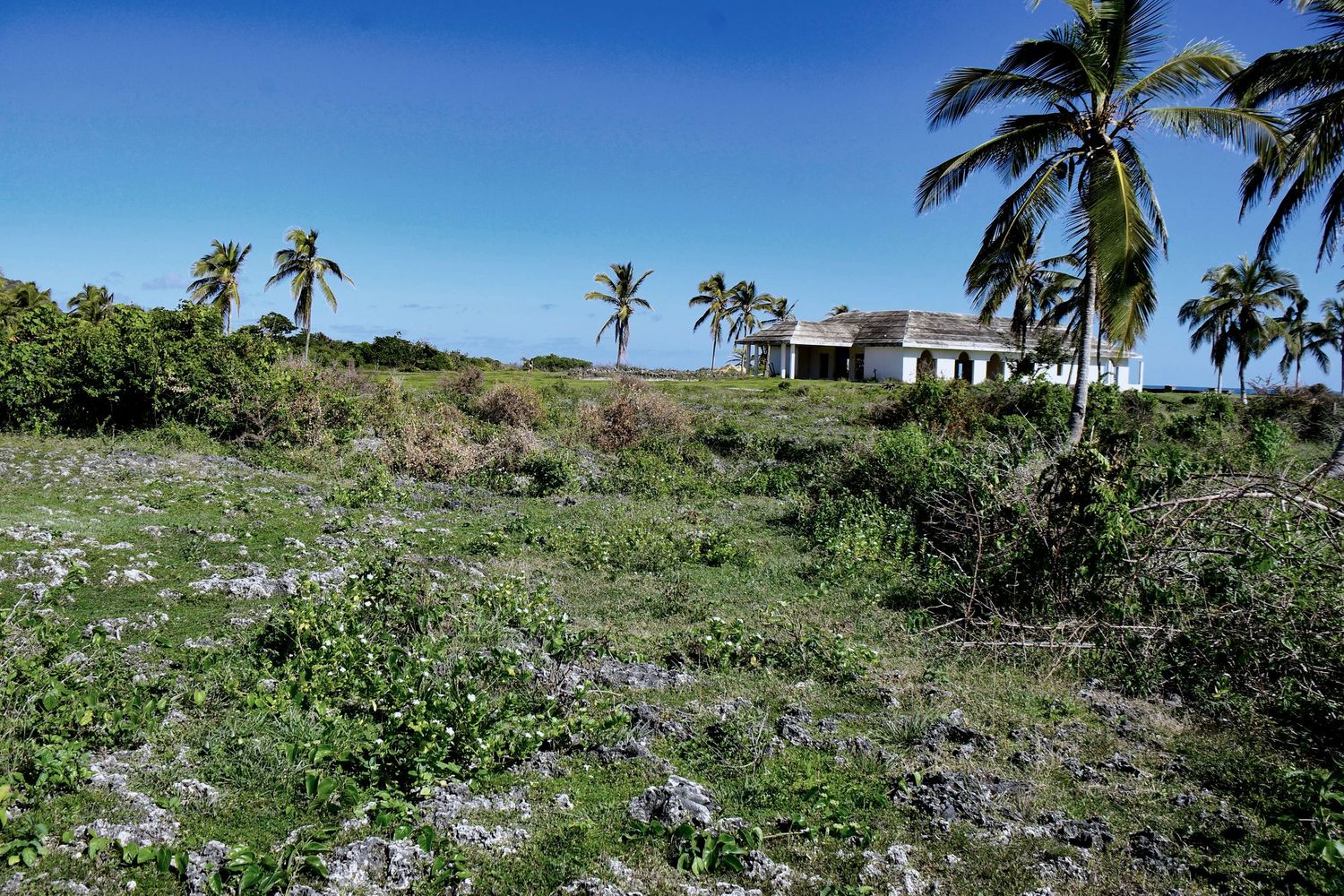 Pasture running to the palm line